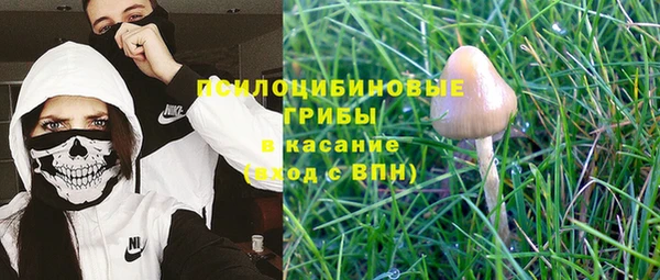 трава Баксан