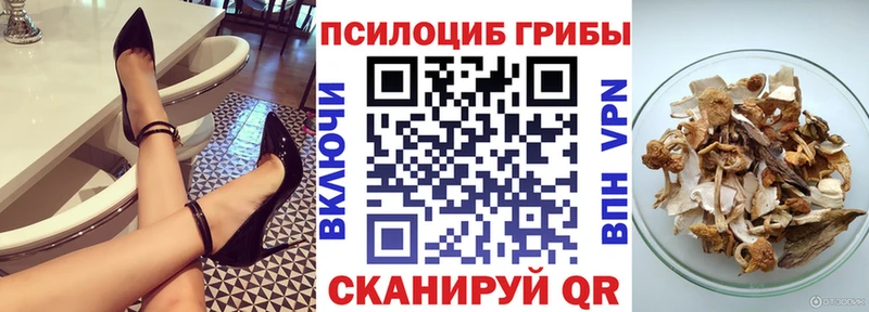 купить наркоту  Няндома  Галлюциногенные грибы Psilocybe 